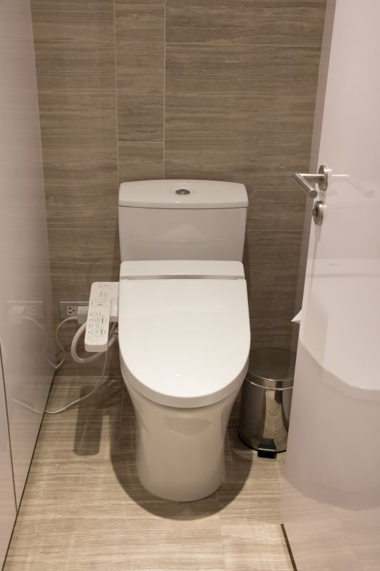 Modern Toilet Design